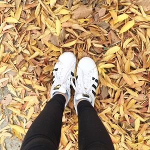 Meet your Posher, Fiona